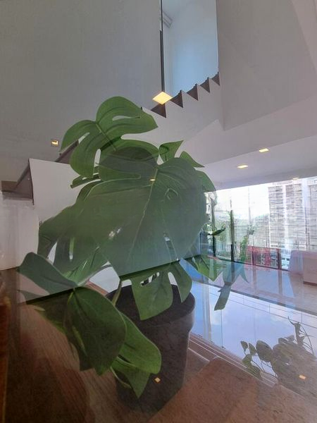 LEONIE GARDENS 6