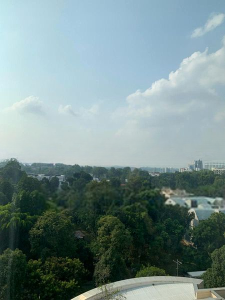 ST REGIS RESIDENCES SINGAPORE 13