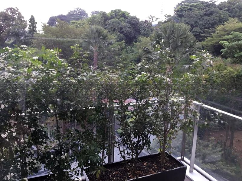 MARINA COLLECTION 10