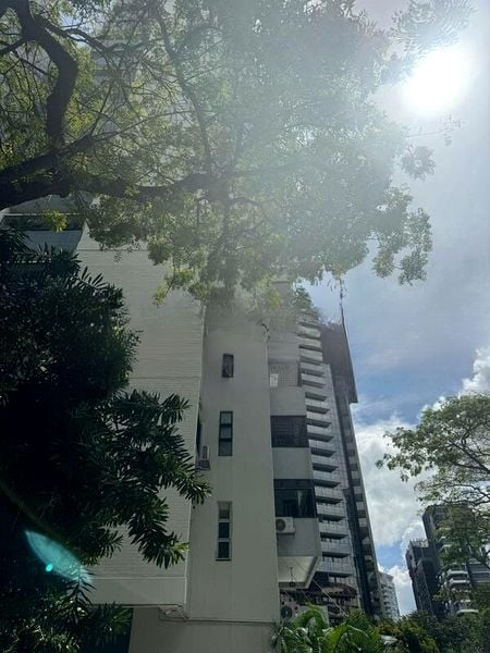 KING'S MANSION 2
