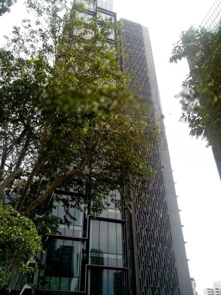 THE MARQ ON PATERSON HILL 5