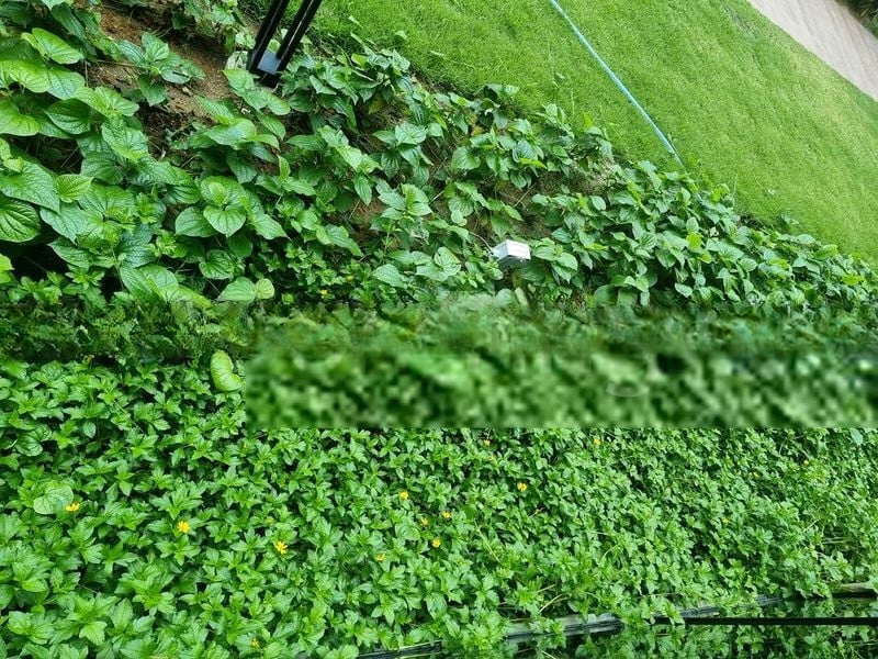 KENT RIDGE HILL RESIDENCES 8