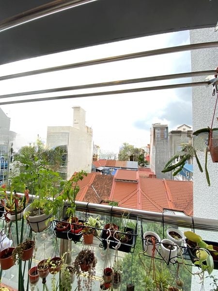 EVERGREEN VIEW 5
