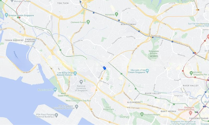 BLOSSOMS BY THE PARK 5