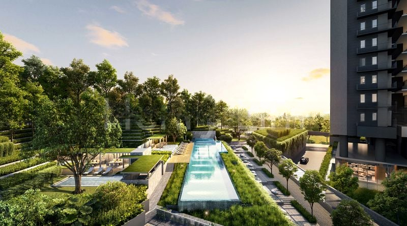 BLOSSOMS BY THE PARK 7