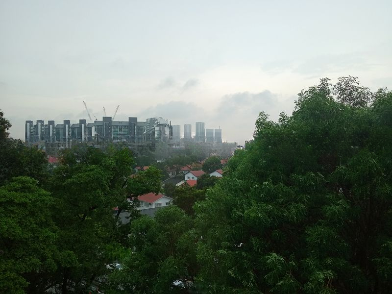 HOLLAND COURT 5