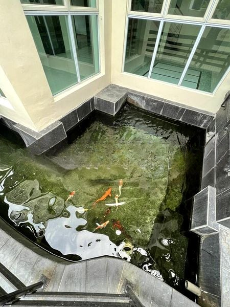 TEACHER'S HOUSING ESTATE 7