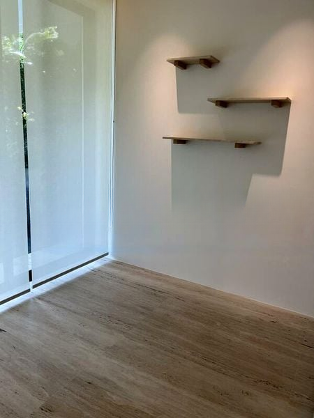 PARVIS 8