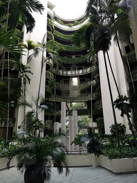 THE ARCADIA 12