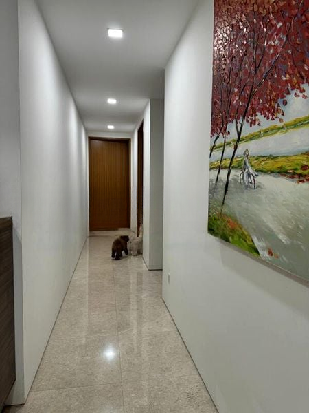 THE SEAFRONT ON MEYER 9