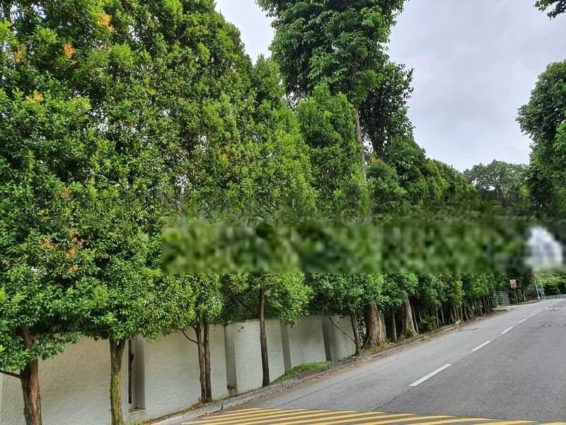 TANGLIN HILL VILLAS 13