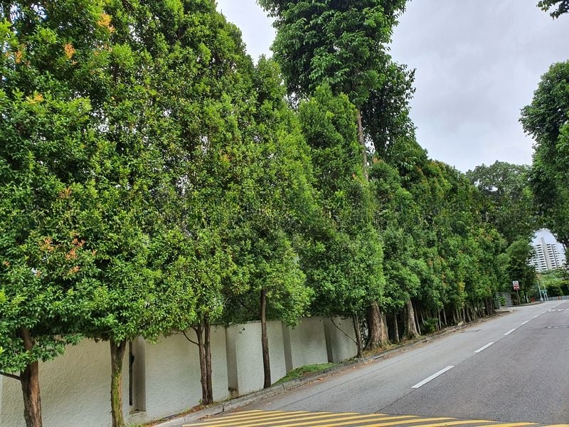 TANGLIN HILL VILLAS 3