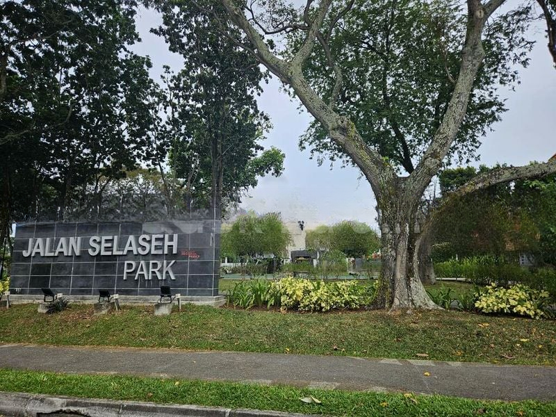 KELULUT HILL 2