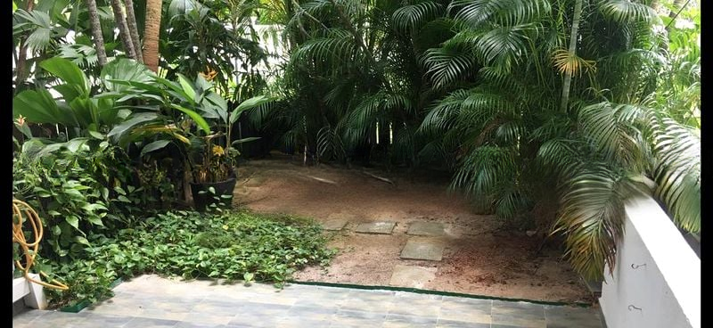 TANGLIN PARK 4