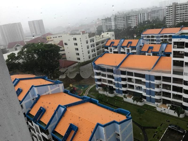 FAR HORIZON GARDENS 5