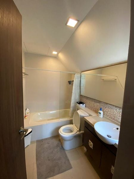 SUNGROVE 4