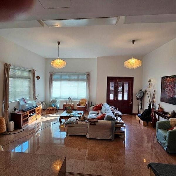 SUNGROVE 5