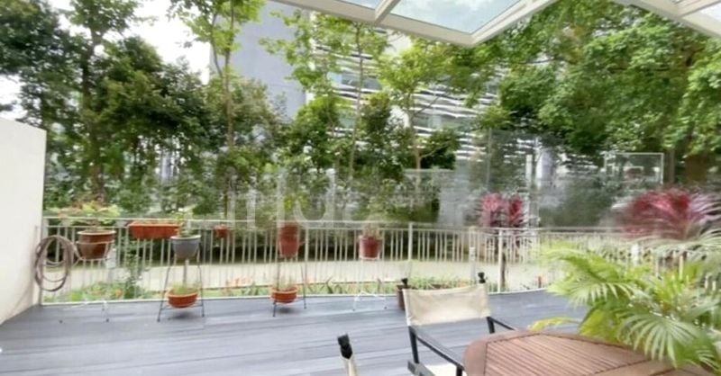 BLOSSOMS @ WOODLEIGH 2