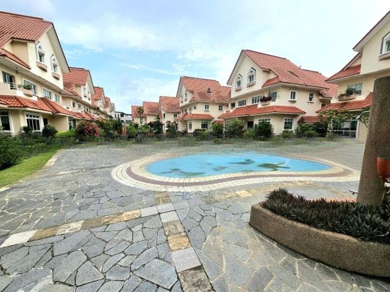 SUNGROVE 2
