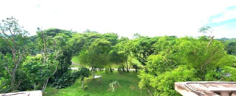 ADAM PARK CONDOMINIUM 13