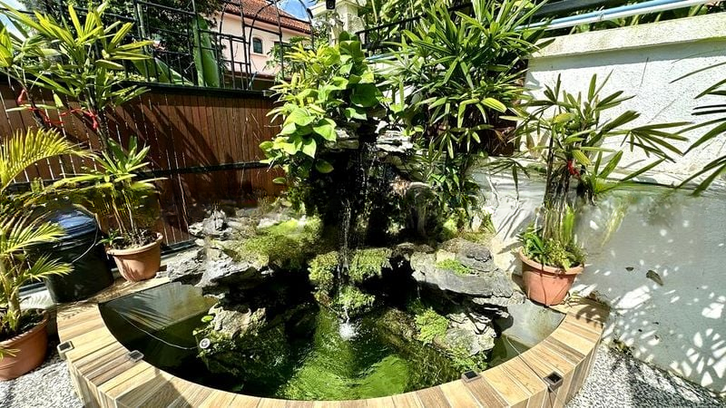 VILLA BEGONIA 1