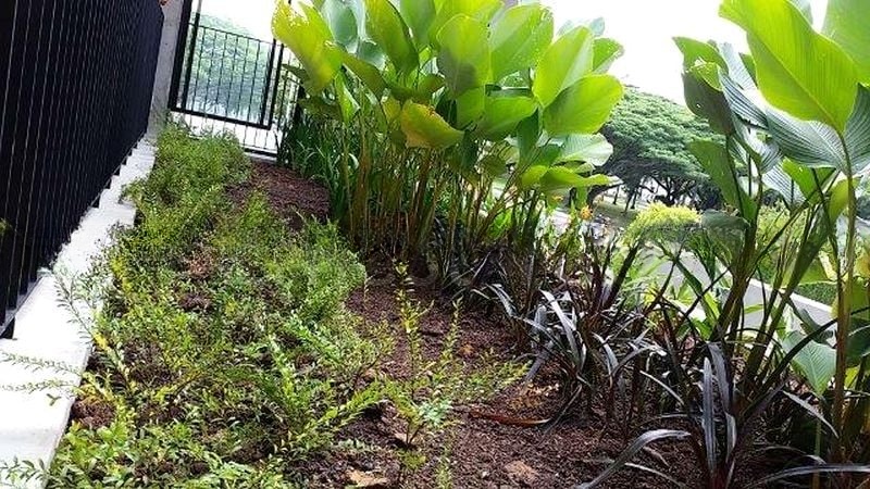 PASIR RIS BEACH PARK 3