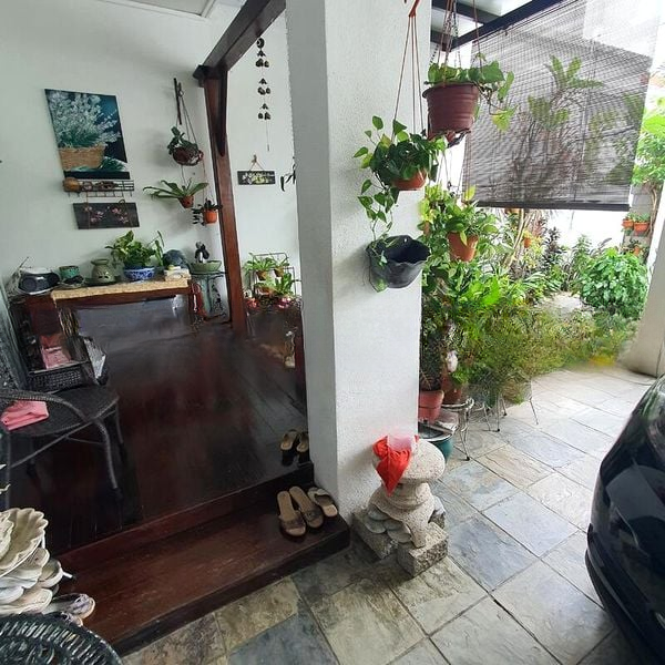 ARDISIA GARDENS 5