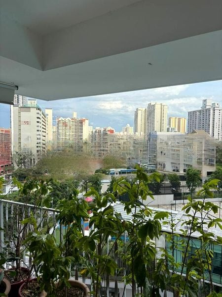 TREVISTA 1