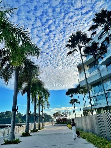 REFLECTIONS AT KEPPEL BAY 9