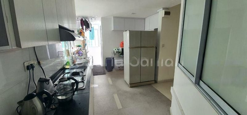 SUNNY PALMS 4