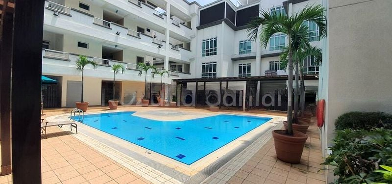 SUNNY PALMS 6