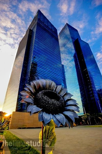 MARINA BAY RESIDENCES 5