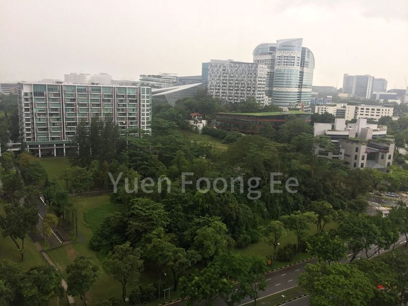 THE ROCHESTER RESIDENCES 6