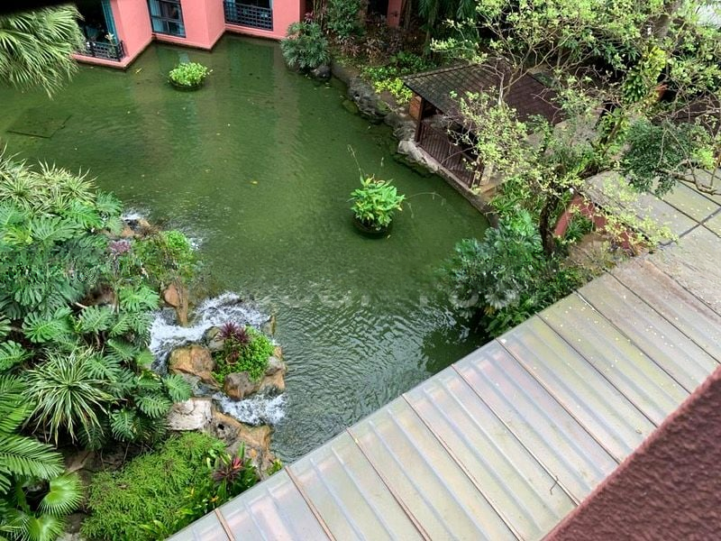 LEONIE GARDENS 12
