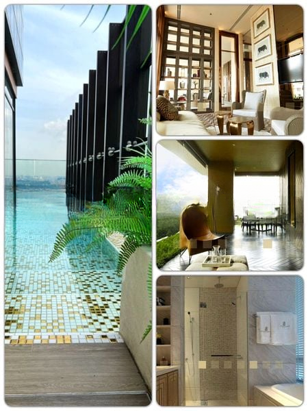 THE RITZ-CARLTON RESIDENCES SINGAPORE CAIRNHILL 2