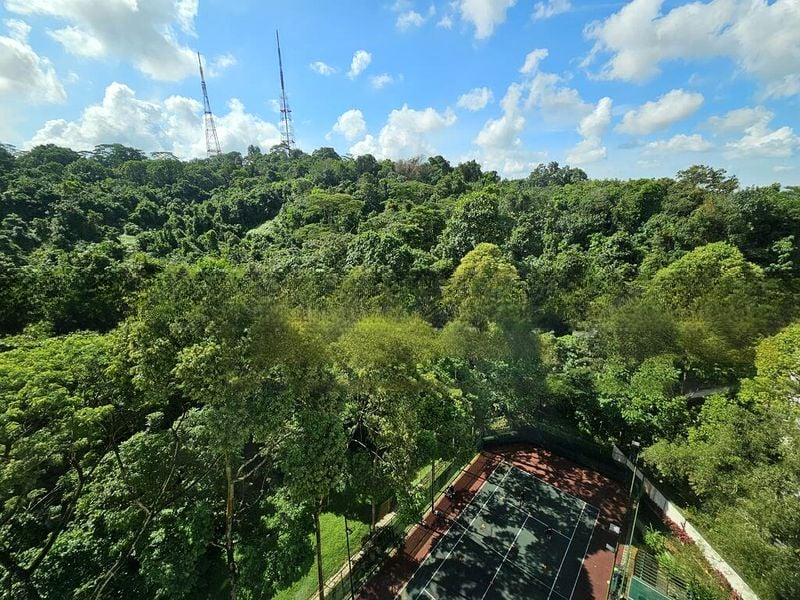 MERALODGE 1