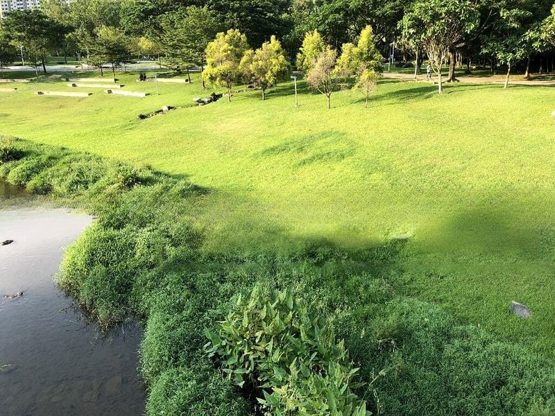 CLOVER BY THE PARK 6