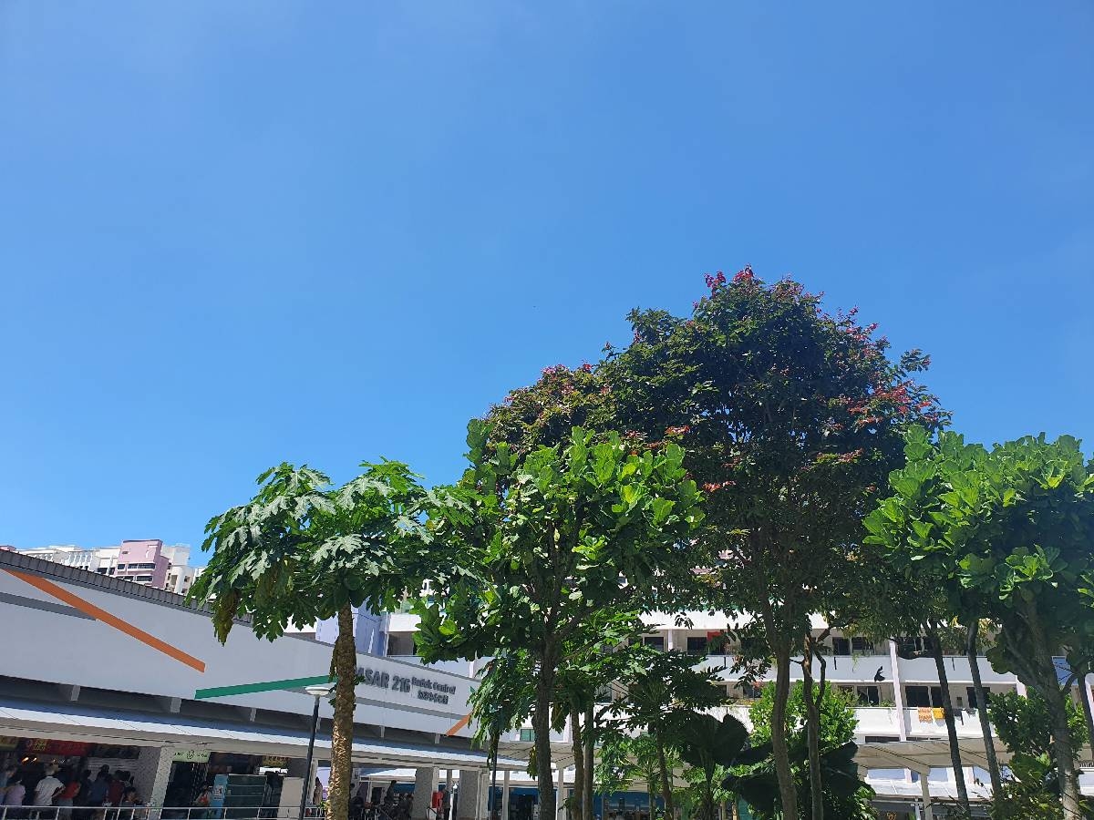 KENT RIDGE HILL RESIDENCES 14