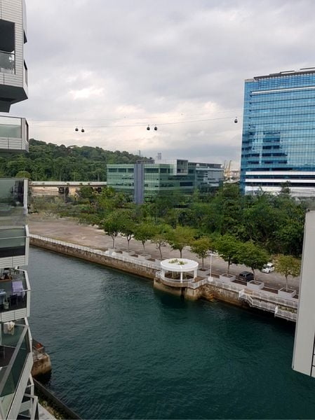 CORALS AT KEPPEL BAY 11