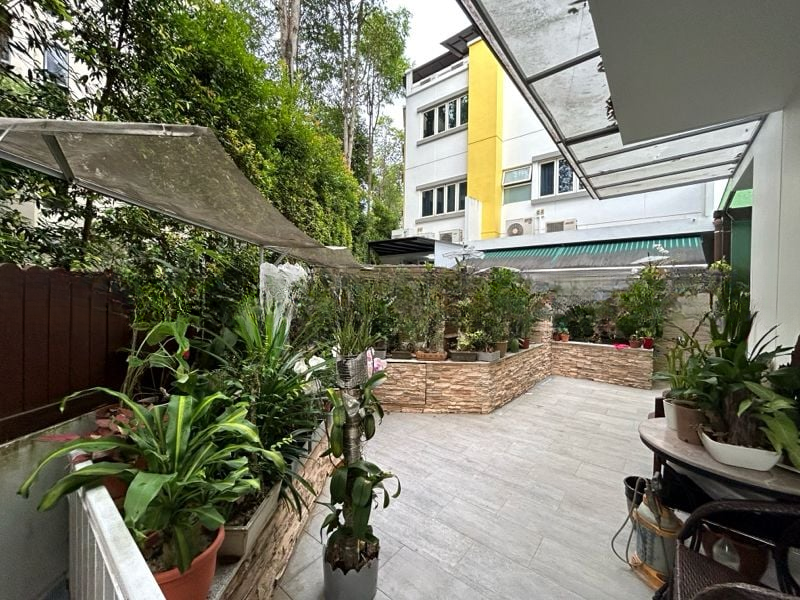 THE SHAUGHNESSY 2