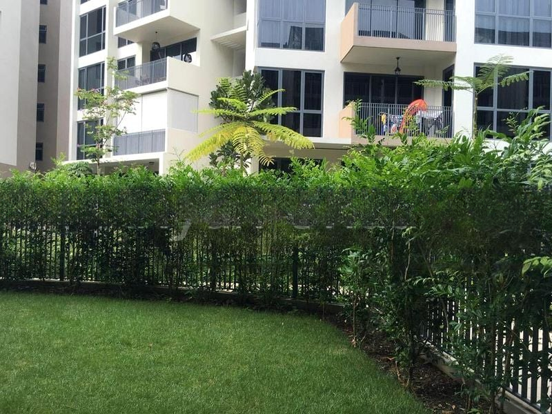 PALM ISLES 2