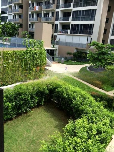 PALM ISLES 5