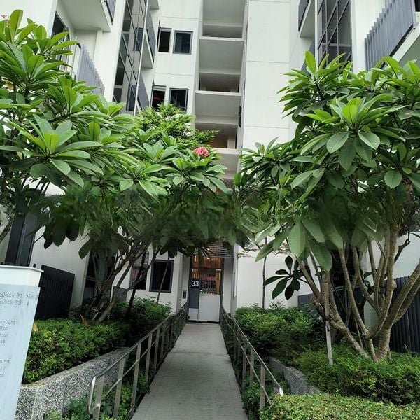 THE LILIUM 1