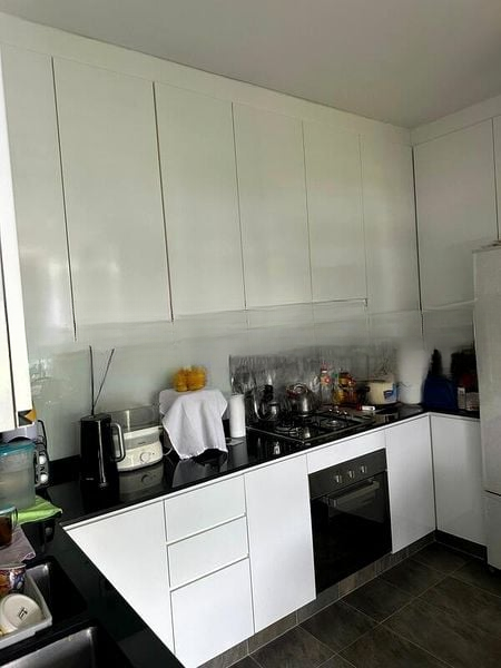 THOMSON GROVE 6