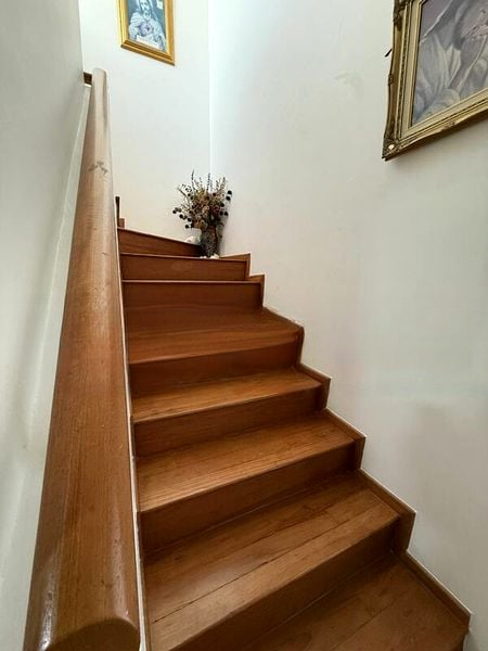PALM VISTA 8