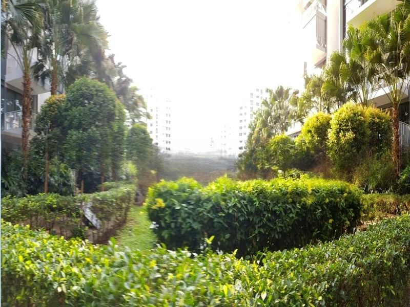 THE LUXURIE 7