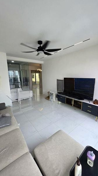 PALM GARDENS 6