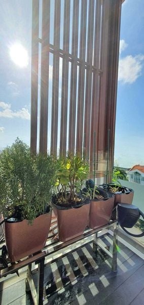 ESPIRA SUITES 10
