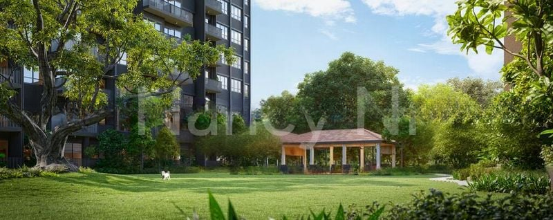 LENTOR HILLS RESIDENCES 11