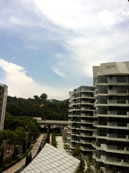 CORALS AT KEPPEL BAY 3